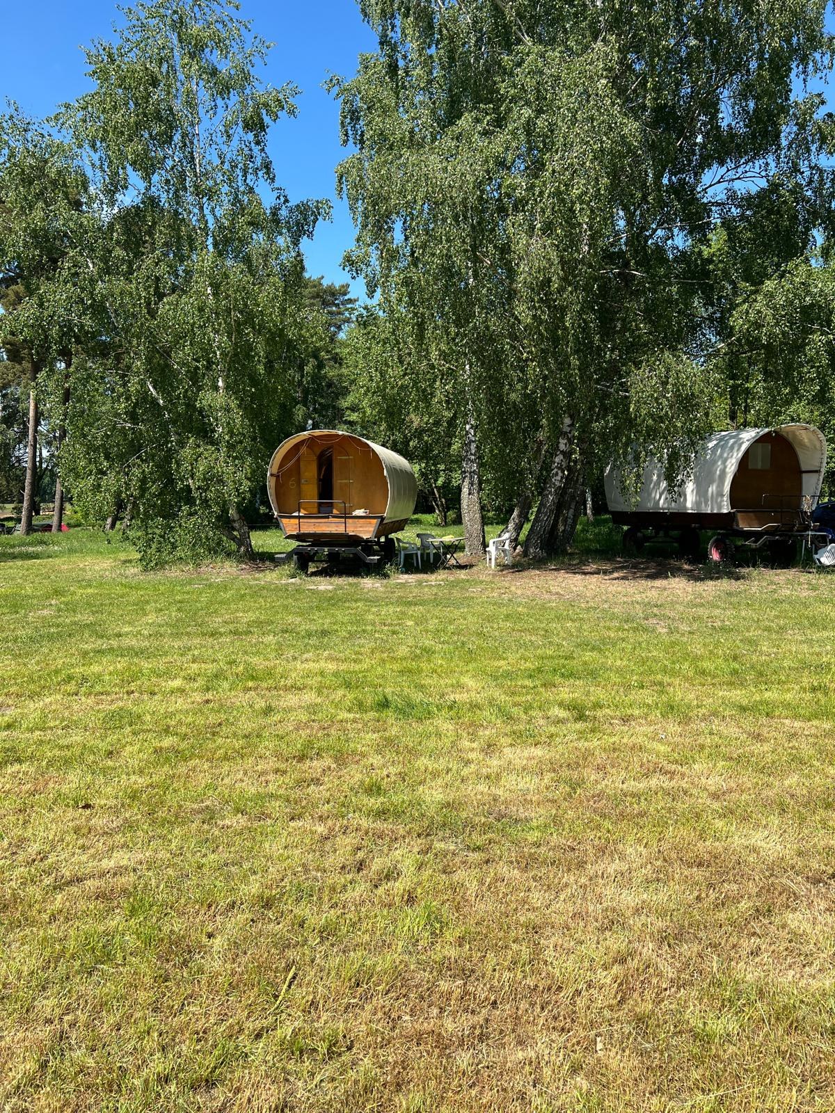 Planwagen auf der Wiese